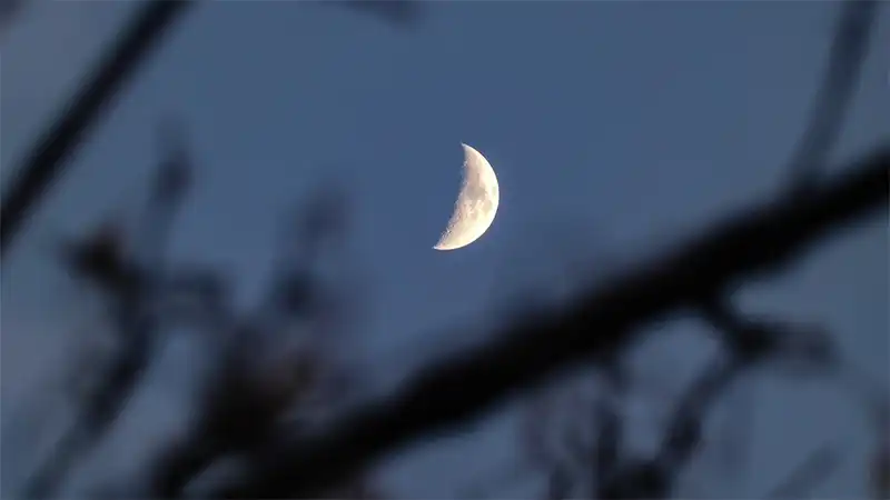 Moon